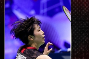 供了必要的 供了必要的